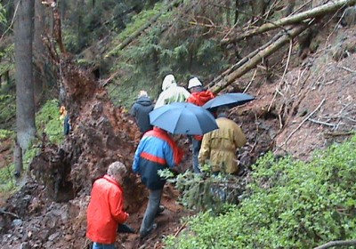 2010 Schwarzwald und Wienerwald