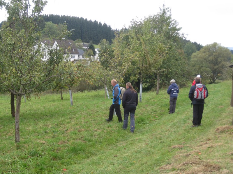 panoramaweg doebraberg