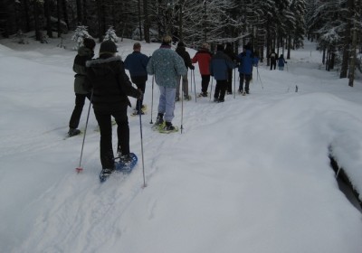 2011 schneeschuhwahnderung