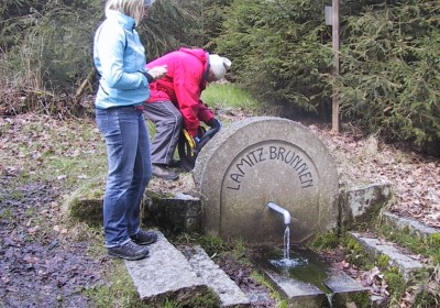 2012 Zum hohen Stein im Hallersteiner Wald