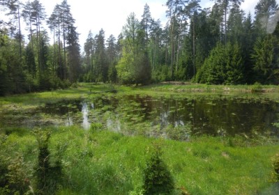 2016  Naturkundliche Exkursion im Truppenübungsplatz Grafenwöhr