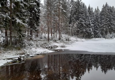 2023 Wanderung zum Weiler Mähring