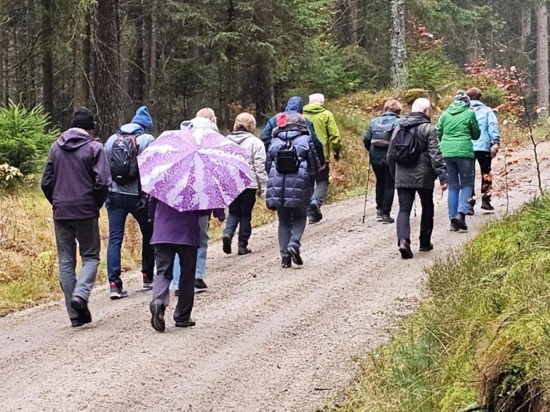 whatsapp bild 2025 11 09 um.47.41 df45630a