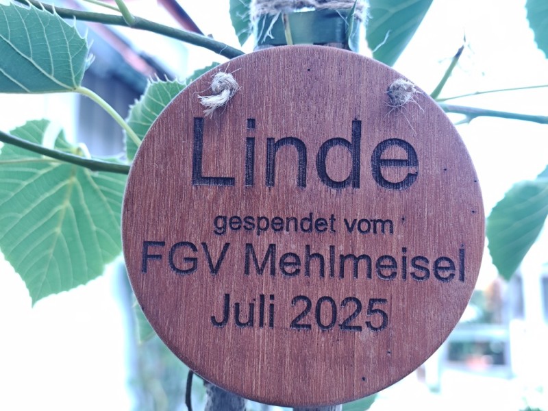 img 20250716