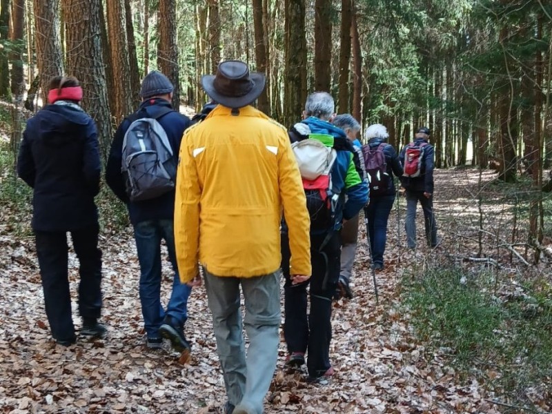 whatsapp image 2026 04 06 at.35.07