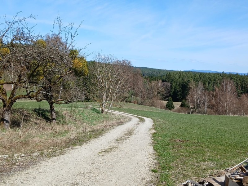 whatsapp image 2026 04 06 at.35.09