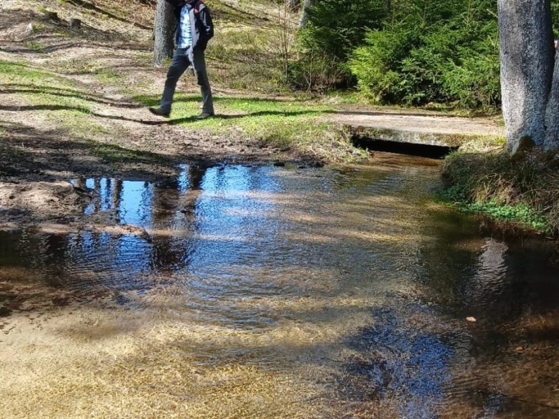 whatsapp image 2026 04 06 at.35.15