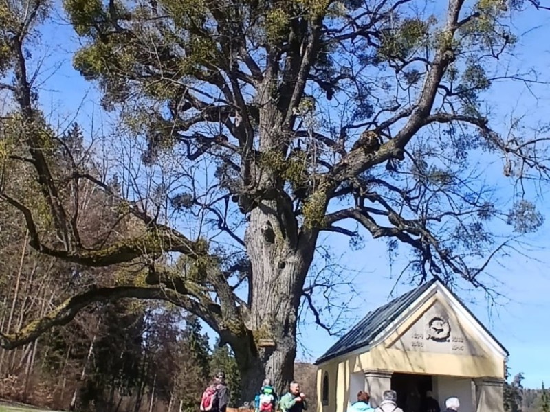 whatsapp image 2026 04 06 at.35.16