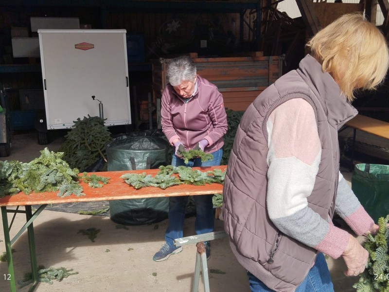 whatsapp image 2026 03 24 at.46.073