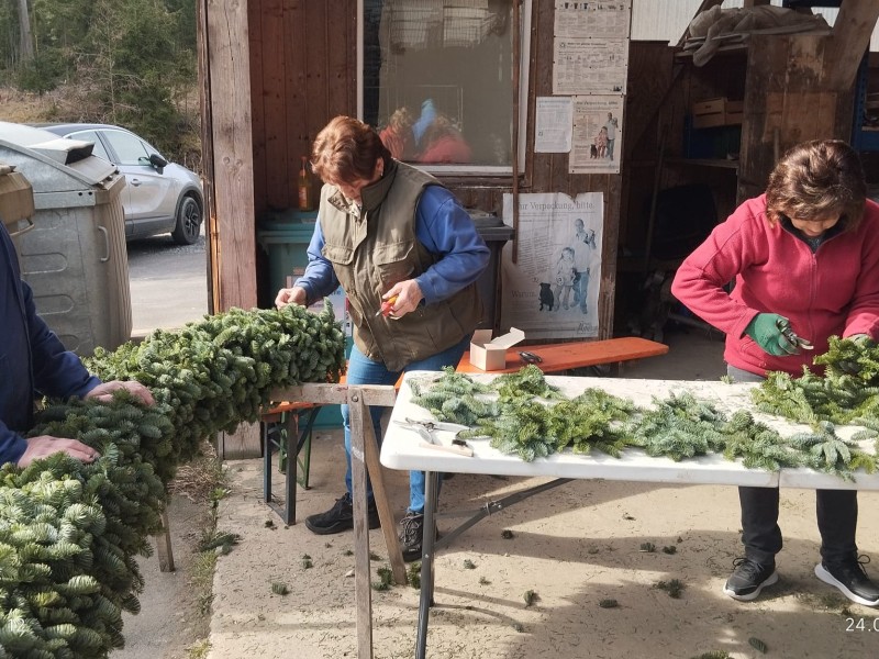 whatsapp image 2026 03 24 at.46.08.5jpeg