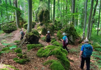 2025 Königsstein Ostalbsteig